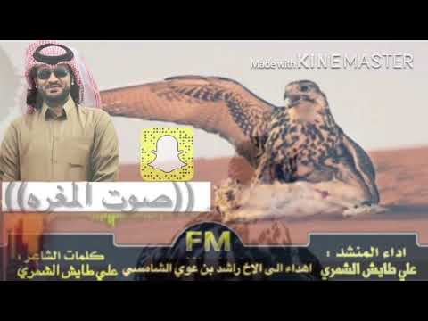 شيله مطروح من دار ابو عدي اداء المنشد علي الشمري العراقي