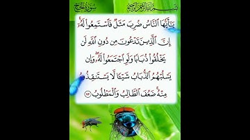 سورة الحج الآية ( 73 )