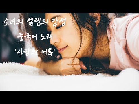 愛語錄(사랑의 어록) - 怡妃 한국어 번역,자막