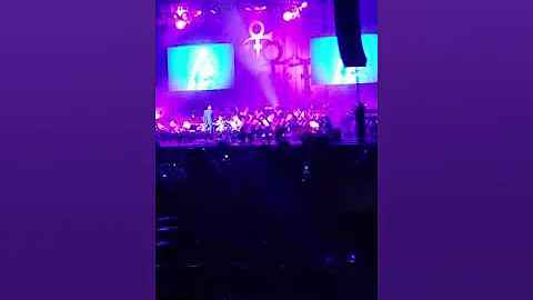 Purple Rain