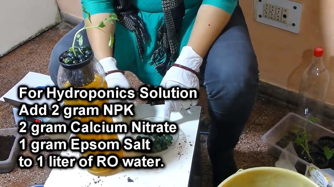 सस्ते में #हाइड्रोपोनिक पोषक तत्व #Hydroponics Nutrition Solution बनाए, आसन तरीका /  #HomeHydroponic