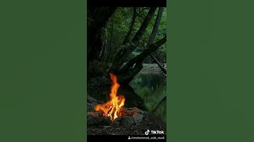 تلاوة خاشعة 🖤 من سورة الزمر