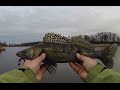 Ловля судака весной на силиконовые приманки в стоячей воде