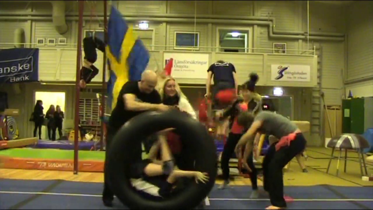 Bild från Harlem Shake (HGF version)