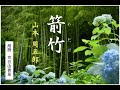 【朗読】山本周五郎「箭竹（やだけ）」～オーディオブック～　朗読：京谷由香里