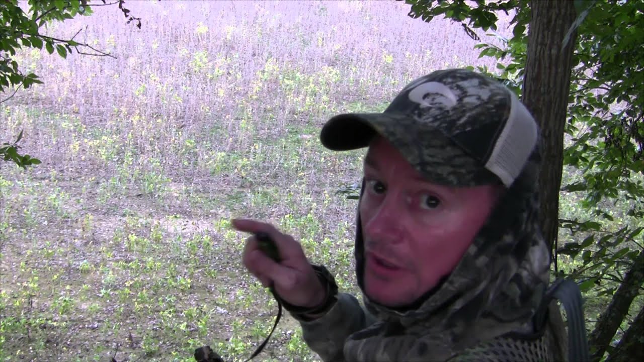 Mississippi Hunting Club Cull Buck YouTube