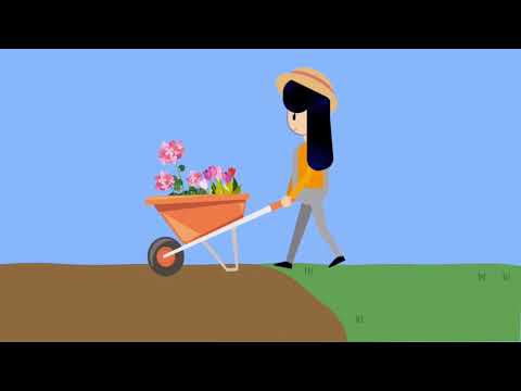 Video: Wij Kweken De Akmella-tuin