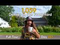 I Planted 1,059 Dahlias in My Front Yard... 107 Days Later | Dahlia Garden Tour