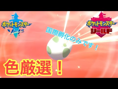 ポケモン剣盾 ヒドイデ色違い厳選 孵化あまり配布します 国際孵化 Youtube