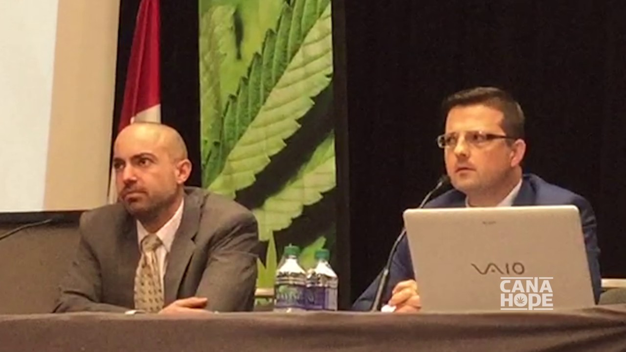 Two Lawyers, One Plant - Tomatoes Vs. Cannabis