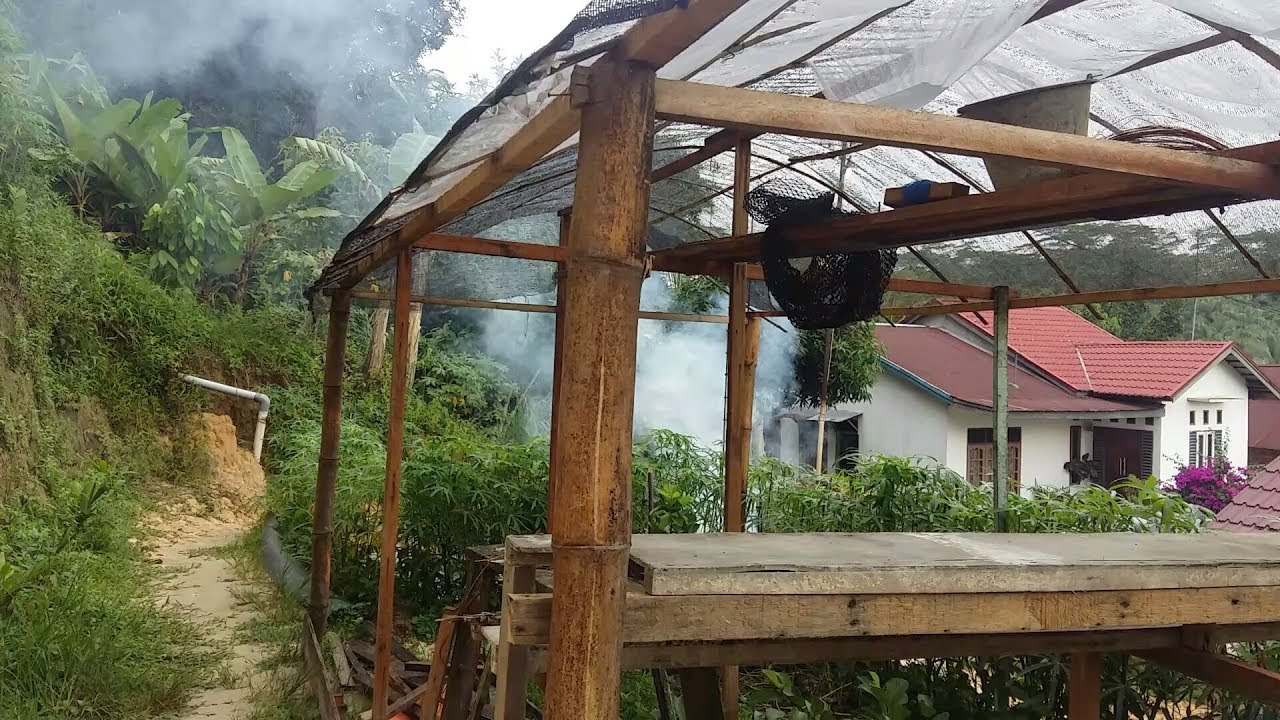 Green House Sederhana dan Murah Tanpa Plastik UV YouTube