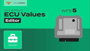 ECU Values (VAG Group WFS5) Read + Edit VIN/CS/MAC/POWER CLASS | Immo Bypass Toolbox | CarLabImmo