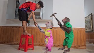 Try not to laugh😂Monkey Su with kuku became supervisor help workers