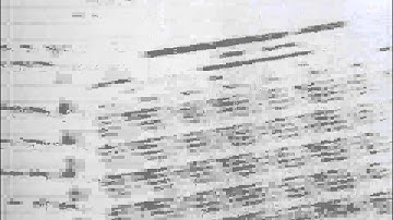 Pacific Tides 1 - Chartwork and Tides