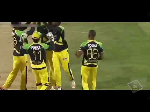 Best Caught and Bowled Wickets in Cricket History - YouTube