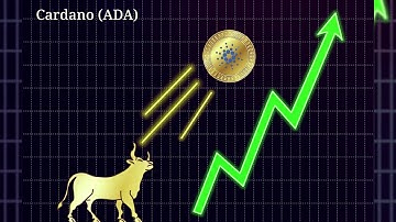 Gainz Cardano Stake Pool