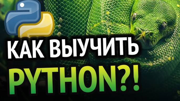 Может ли девятилетний ребенок выучить Python?