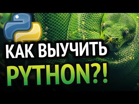 Видео: Как лучше всего изучать Python бесплатно?