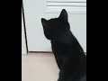 恐怖!ドアから伸びる白い手
