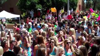 Arizona Pi Beta Phi Bid Day