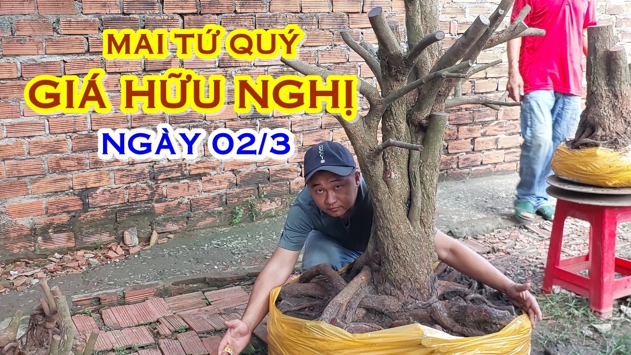 THOA 📲 O987879749 GIÁ TỐT - MAI TỨ QUÝ DÁNG ĐẸP GIAO LƯU NGÀY 02/3 