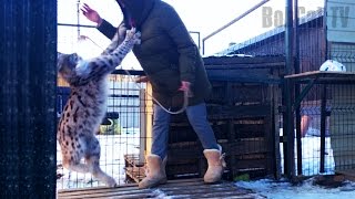 УДАЛОСЬ ЛИ ПОГЛАДИТЬ ОДИЧАЛУЮ РЫСЬ? УДАЛОСЬ ЛИ ПОГЛАДИТЬ ОДИЧАЛУЮ РЫСЬ?