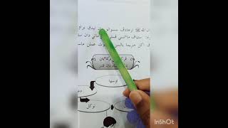 Aqidah Tahun4  2 Jenis  Qada
