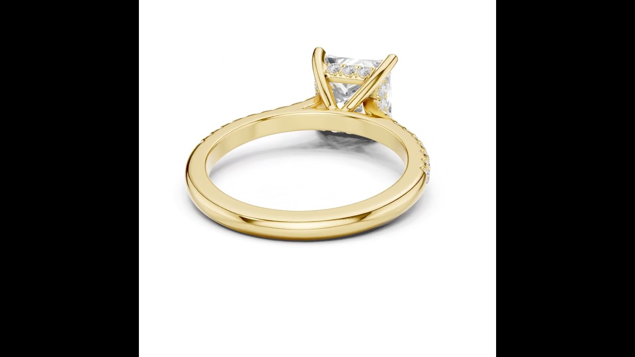 Princess Cut Hidden Halo and Pave Band Engagement Ring