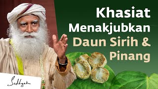 Khasiat Menakjubkan Daun Sirih dan Pinang | Sadhguru Bahasa Indonesia