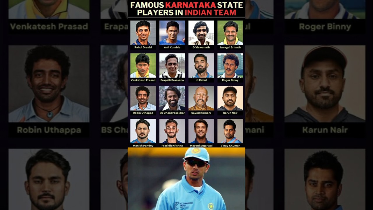 Karnataka Cricket Team Players Axycube Solutions Pvt