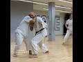 Karate exploring (Heian Nidan Bunkai) Application of Techniques | OSS 👊