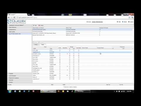 Queplix Data Quality Manager Demo - Powered by Data Virtualization.mp4