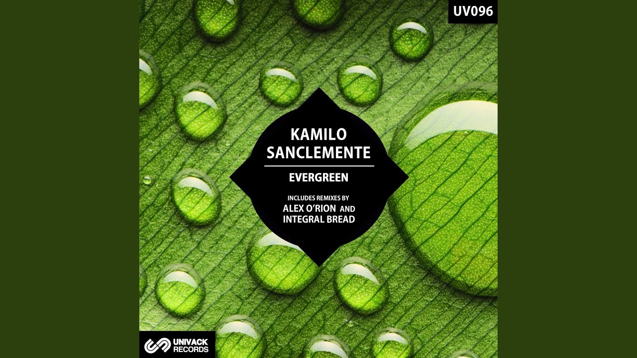 Evergreen (Alex O'Rion Remix)