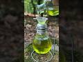 Survival Skills Make An Oil Lamp With Your Own Hands Survival Outdoors Camping Lifehacks 