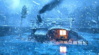 Wind Storm Cold. Bone Chilling Winter Wind Storm Cold Weather. BLIZZARD AMBIENCE