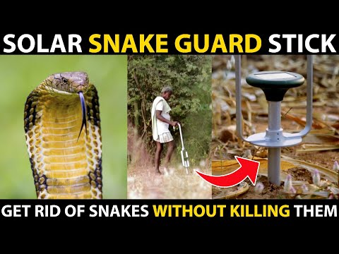 Video: Snake Repellers - kundrecensioner