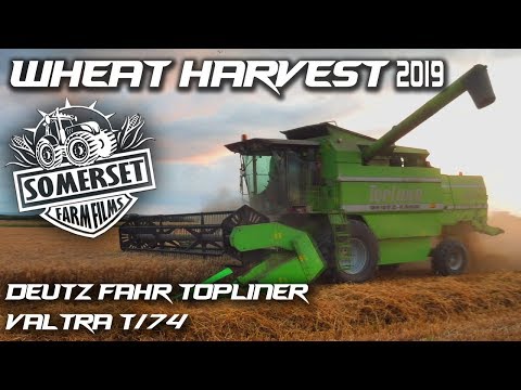 Wheat harvest 2019