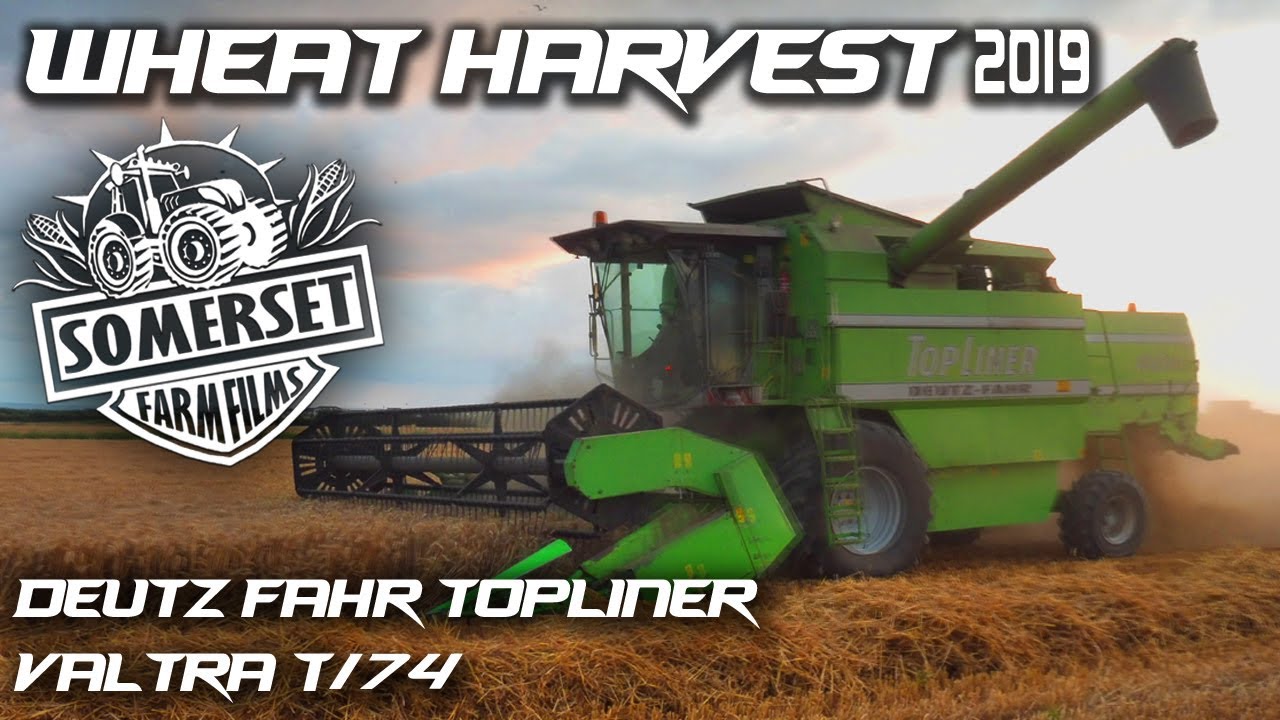 Wheat harvest 2019
