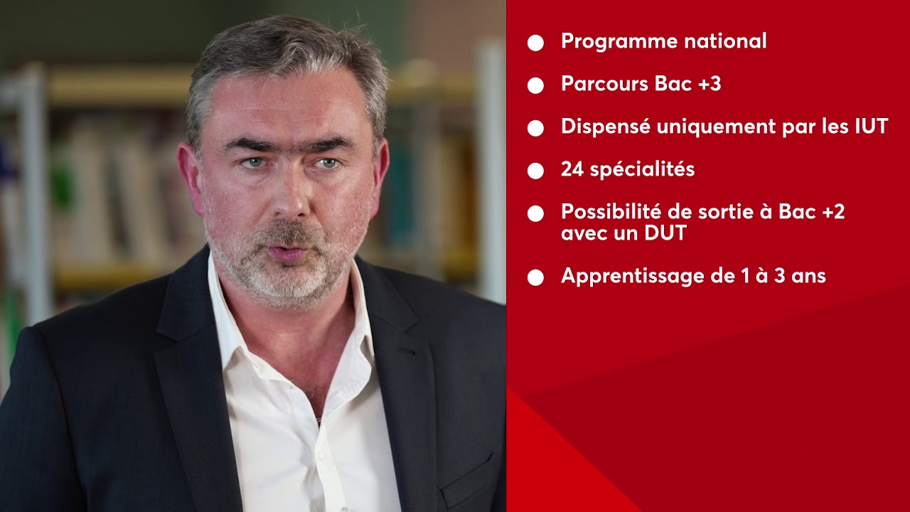 IUT VILLE-D'AVRAY / SAINT-CLOUD / NANTERRE :  Présentation générale