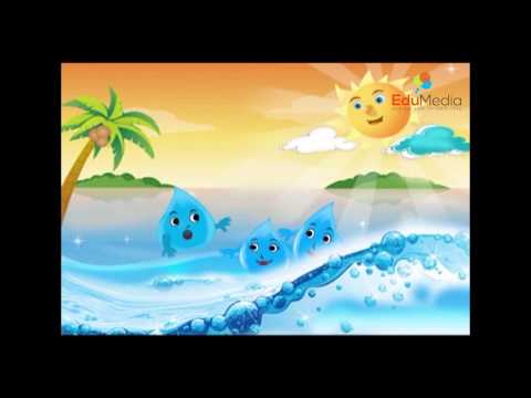 Video Giọt nước tí xíu - youtube