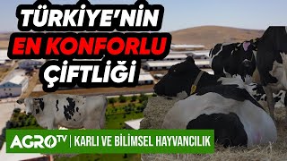 Türkiye'nin En Büyük ve En Konforlu Çiftliği: Ünallar Çiftliği | Kârlı ve Bilimsel Hayvancılık