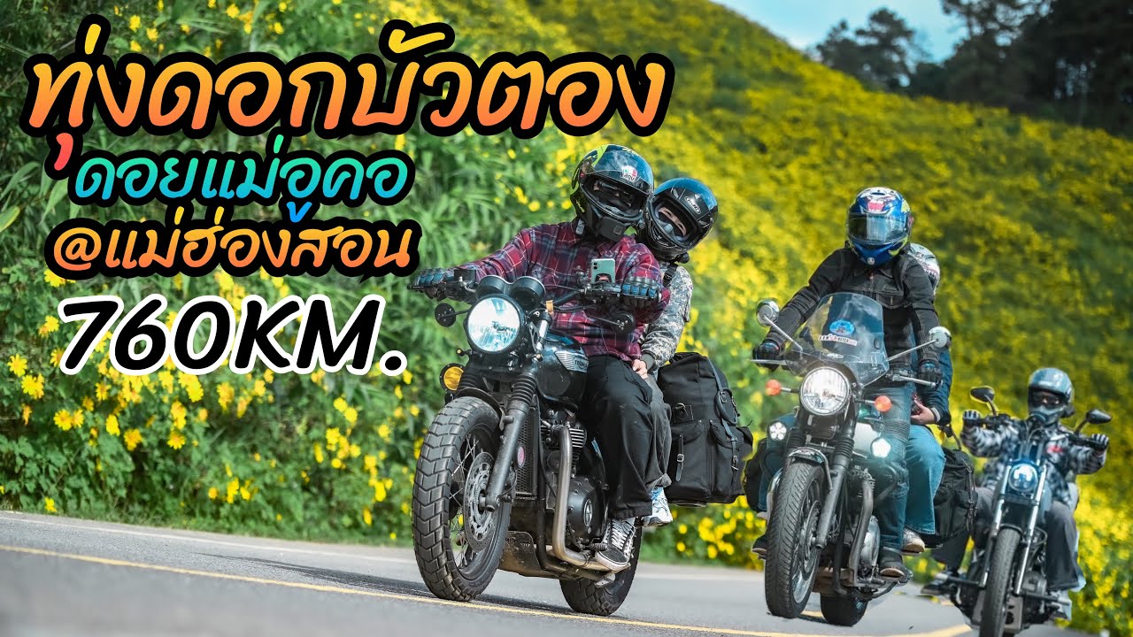ทุ่งดอกบัวตอง ดอยแม่อูคอ แม่ฮองสอน - ขับกันสว่างคาตา 760KM 18ชั่วโมง [ROAD TRIP] ทริปแอ่วเหนือ[1/2]