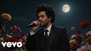 The Weeknd - Midnight Bloom (Official Lyrical Video 2026)
