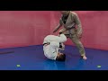 リバースデラヒーバからのバックテイク - “Kiss of the Dragon” Taking back from Reverse De La Riva guard.