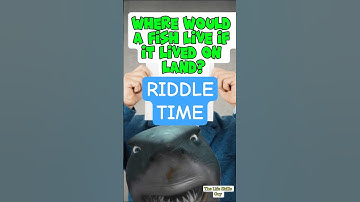 Ultimate Riddle Challenge: Can You Solve It?
