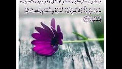 ياسر الدوسري من سورة النحل عام 1423