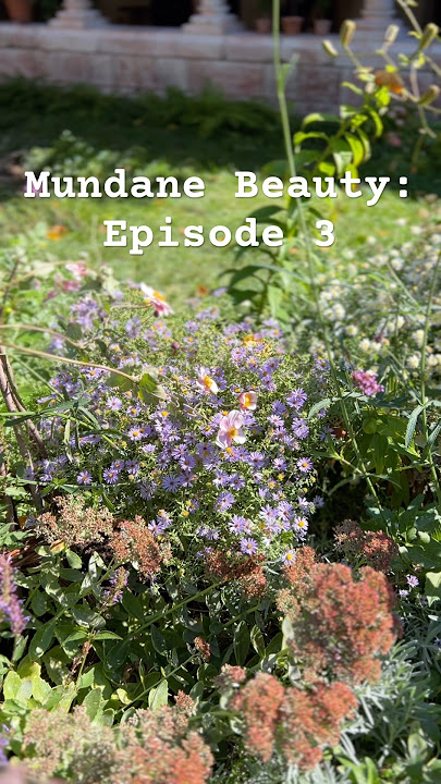 Mundane Beauty: Episode 3