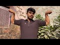 Forearms Workout At Home No Gym 😱 