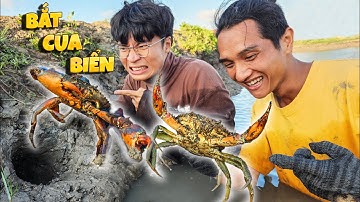 Tony | Vượt 300km Để Bắt Cua Biển & Tôm Sú 🦀 𝐂𝐚𝐭𝐜𝐡 𝐌𝐮𝐝 𝐂𝐫𝐚𝐛