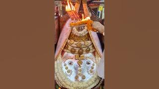 June 23, 2025 | Morning Darshan | Jai Kalka Maa | #yashbjkm | #dailydarshan